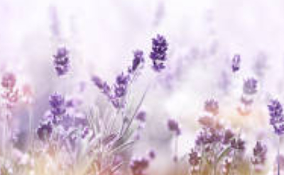 Linalool Coeur
